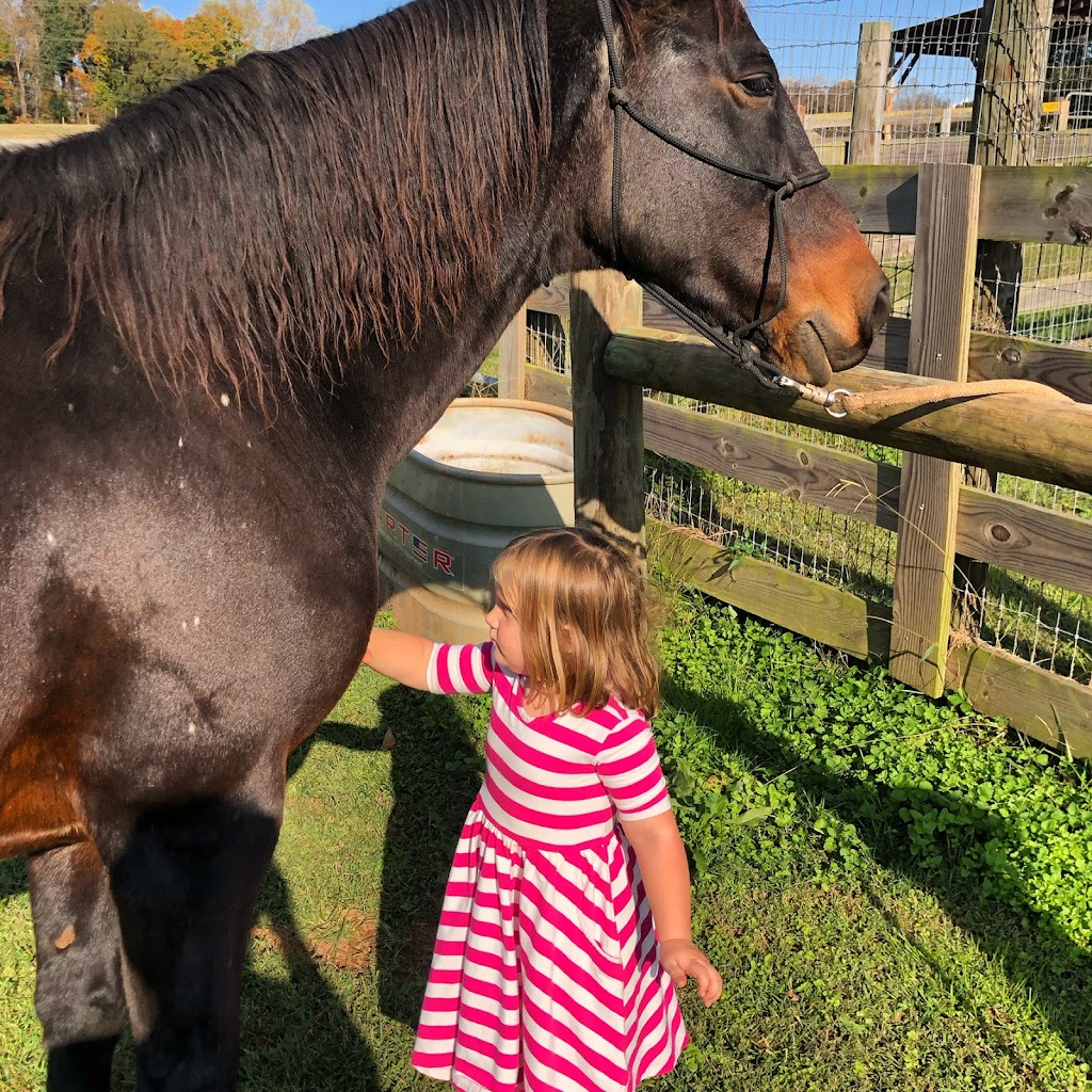 Strouds Creek Farm | 1600 Friendship Ln, Hillsborough, NC 27278, USA | Phone: (919) 406-4552