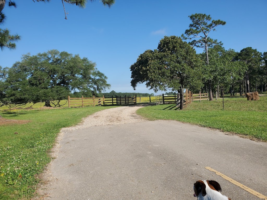 Little Creek Hay & Cattle Farm | 26403 Polo Rd, Folsom, LA 70437, USA | Phone: (985) 373-1942