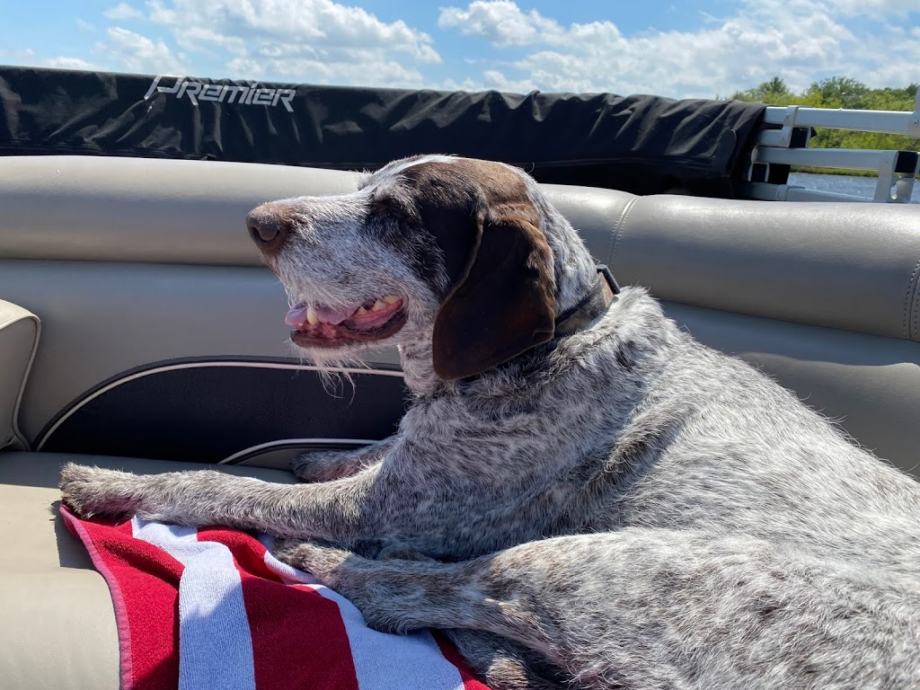 Pets Remembered Cremation Service | 15 2nd Ave SE, St Paul, MN 55112, USA | Phone: (651) 633-4564