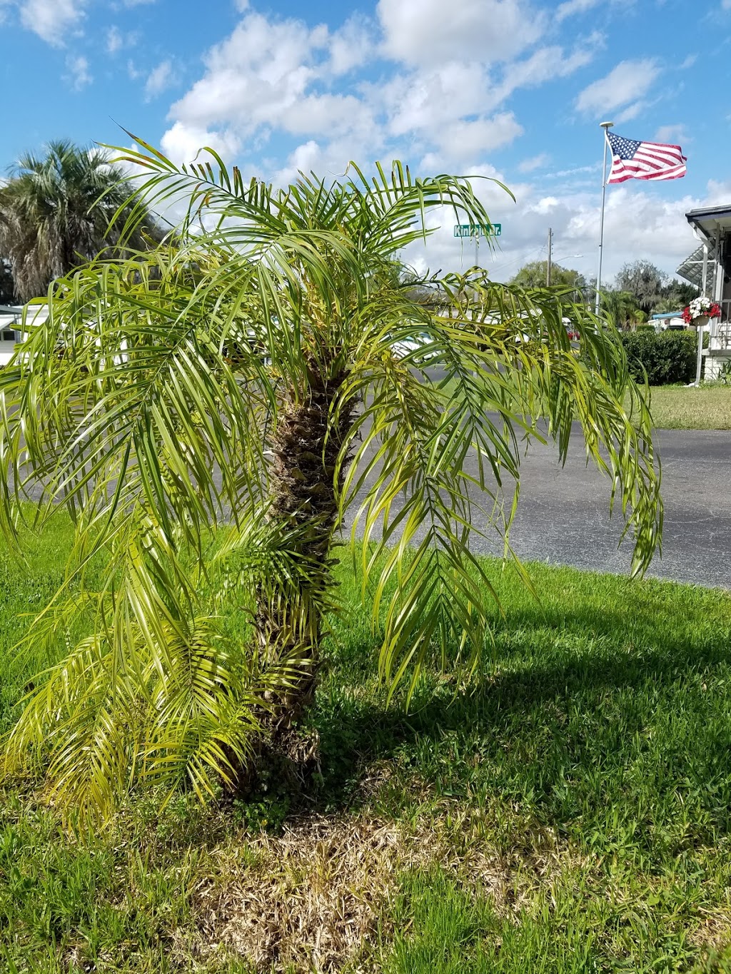 Tropical Mobile Home Park | 37407 Ray Dr, Zephyrhills, FL 33541, USA | Phone: (616) 835-4734