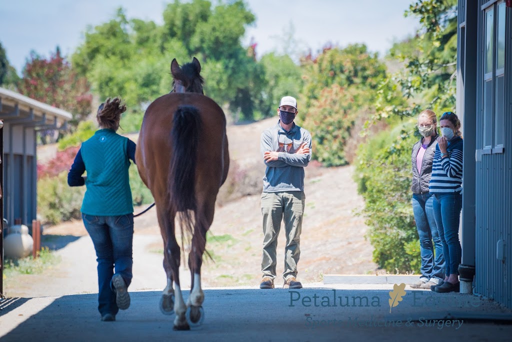 Petaluma Equine | 911 Mustang Ct, Petaluma, CA 94954, USA | Phone: (707) 721-4402