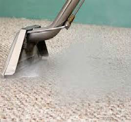 Carys Best Carpet Cleaning | 1425 Quarter Point, Raleigh, NC 27615, USA | Phone: (919) 348-2878
