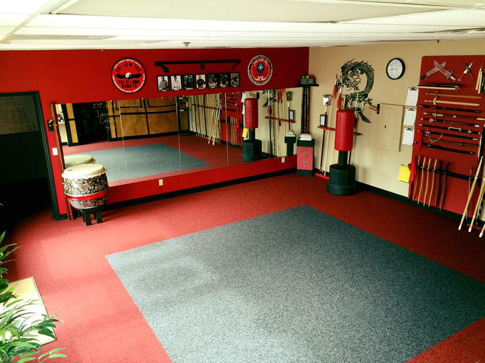 Iron Dragon Kung Fu Academy | S59W22220 W Glengarry Rd, Waukesha, WI 53189, USA | Phone: (262) 662-3800