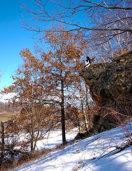 Valley of Our Lady Monastery | E11096 Yanke Dr, Prairie Du Sac, WI 53578, USA | Phone: (608) 643-3520