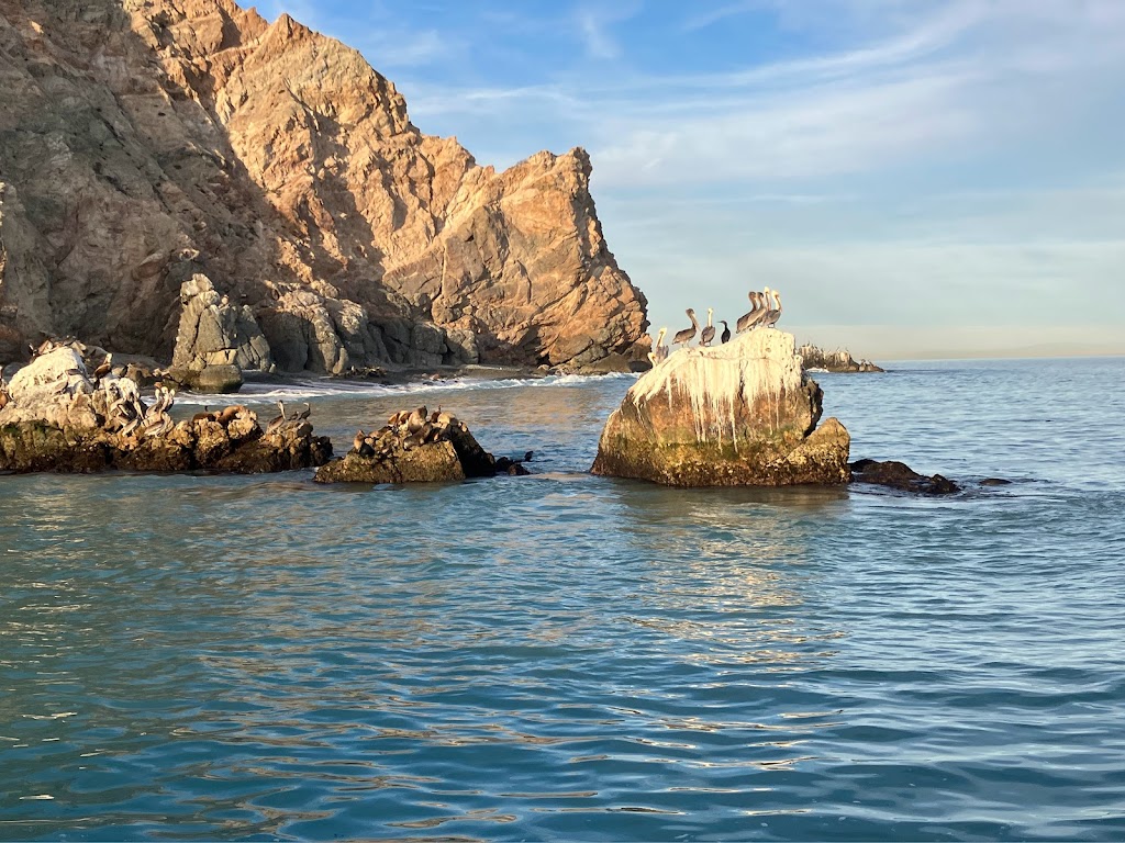 Catalina Adventure Sailing | 1 Green Pleasure Pier, Avalon, CA 90704, USA | Phone: (310) 569-9843