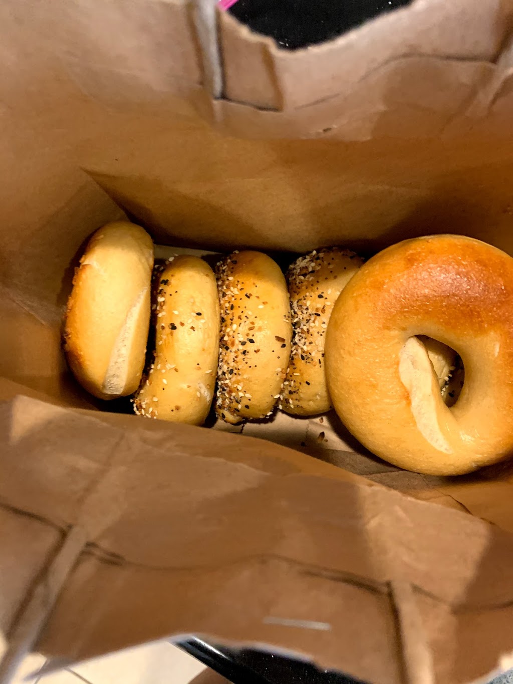 Jeffs Bagel Run | 5699 Mangrove Cove Ave, Winter Garden, FL 34787, USA | Phone: (954) 798-5977