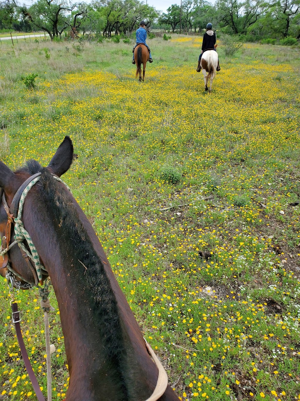 Horseback Adventures of Central Texas | 6851 Fulton Ranch Rd, Wimberley, TX 78676, USA | Phone: (970) 443-7627