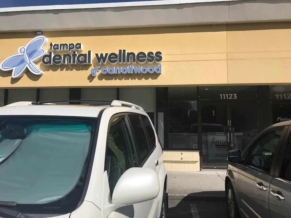 Tampa Dental Wellness of Carrollwood | 11123 N Dale Mabry Hwy, Tampa, FL 33618, USA | Phone: (813) 265-2273