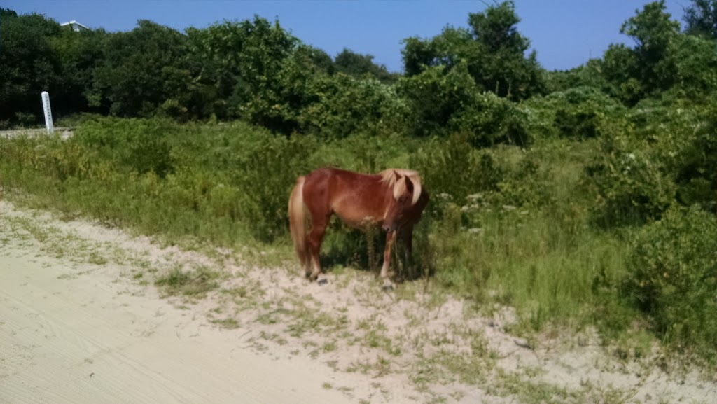 Sandbar Realty & Construction Inc. | 2163 Shad Rd, Corolla, NC 27927, USA | Phone: (252) 453-9017