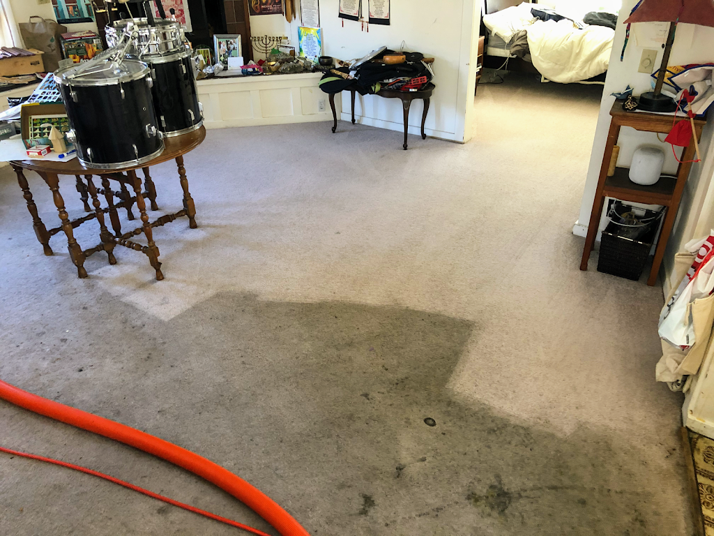 Do it Green Carpet Cleaning | 32 Eastwood Dr, Orinda, CA 94563, USA | Phone: (925) 949-9210
