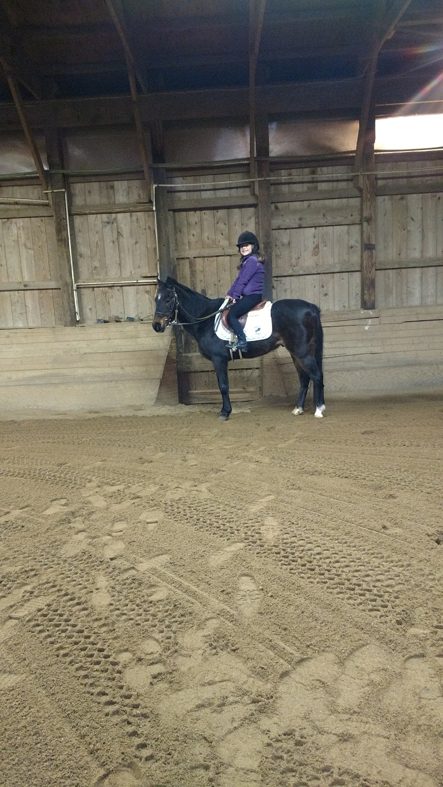 Spring Valley Stables Inc | 212 Warrendale Rd, Mars, PA 16046, USA | Phone: (724) 625-9003