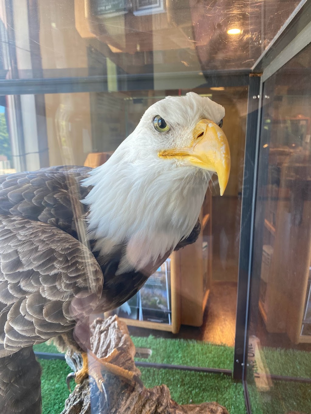 Back Bay National Wildlife Refuge Visitor Center | 4005 Sandpiper Rd, Virginia Beach, VA 23456, USA | Phone: (757) 301-7329