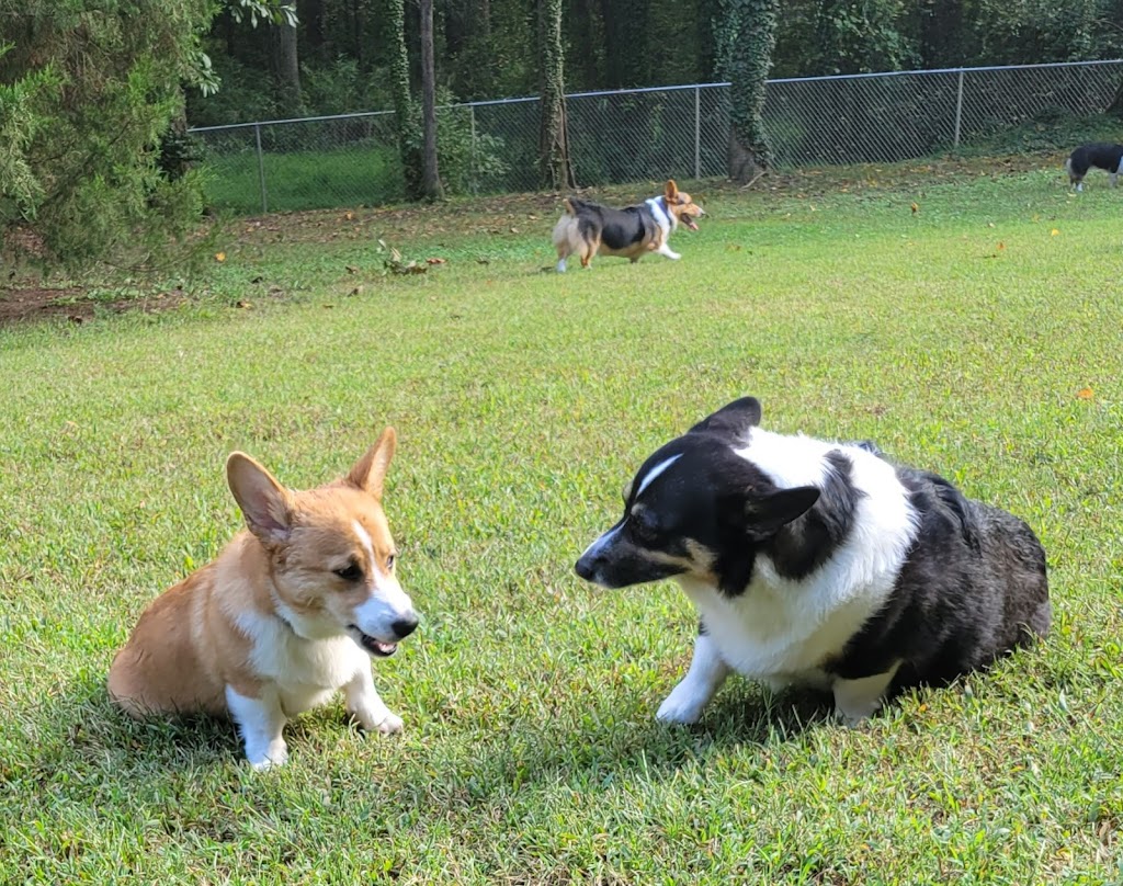 Fuquay-Varina Dog Park | 110 Woodland Dr, Fuquay-Varina, NC 27526, USA | Phone: (919) 552-1430