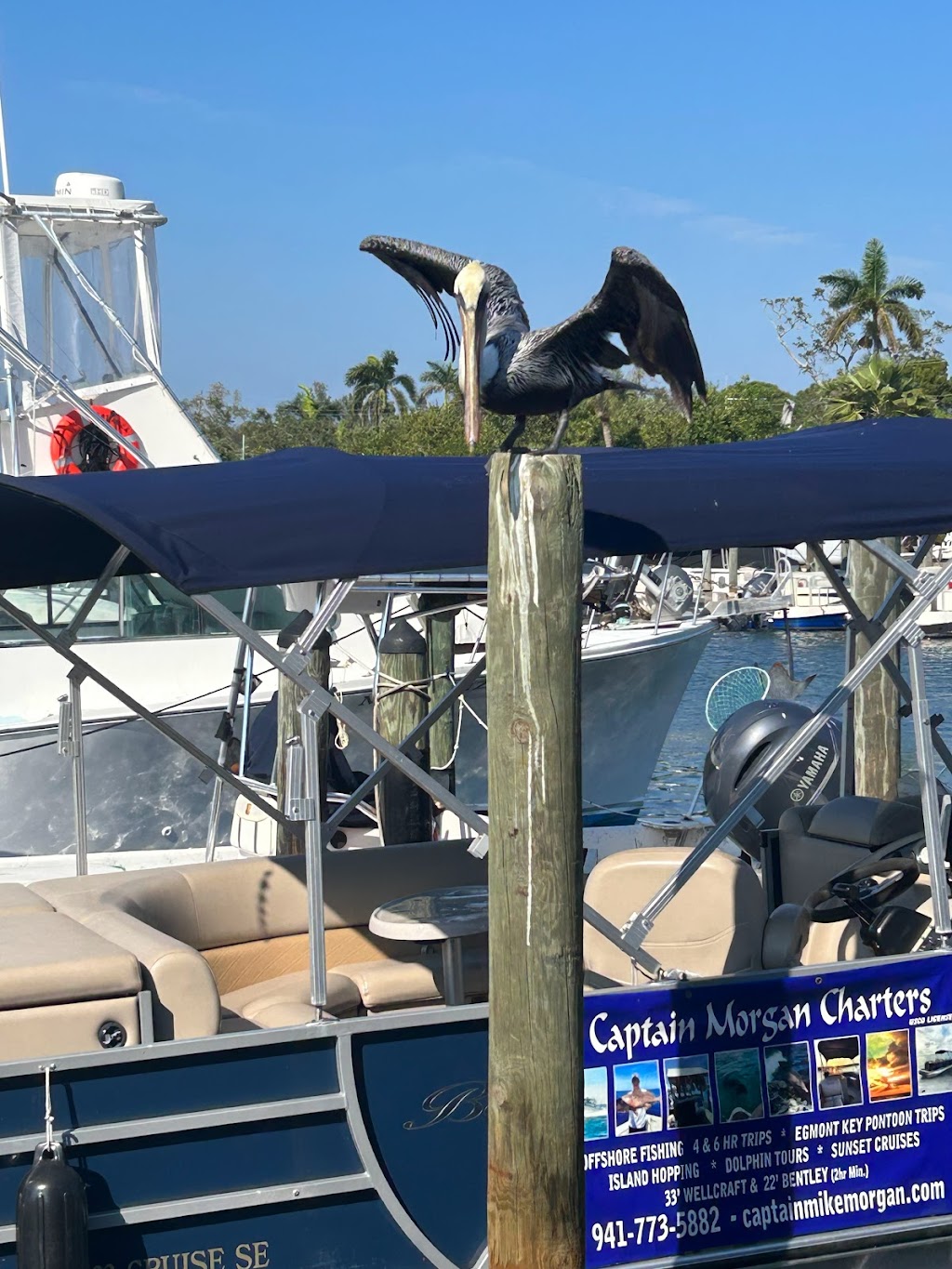 Captain Morgan Fishing Charters | 4110 127th St W, Cortez, FL 34215, USA | Phone: (941) 773-5882