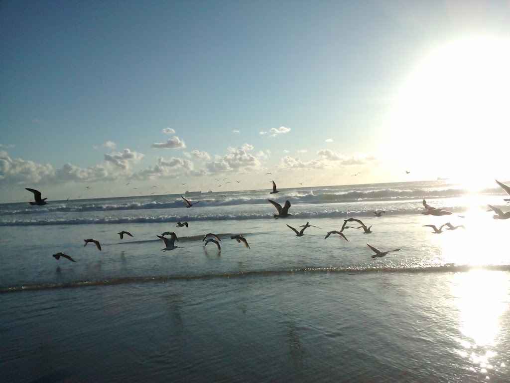 Rosarito Shores | Blvd. Benito Juárez, Rosaritoshores, 22700 Rosarito, B.C., Mexico | Phone: 661 850 1773