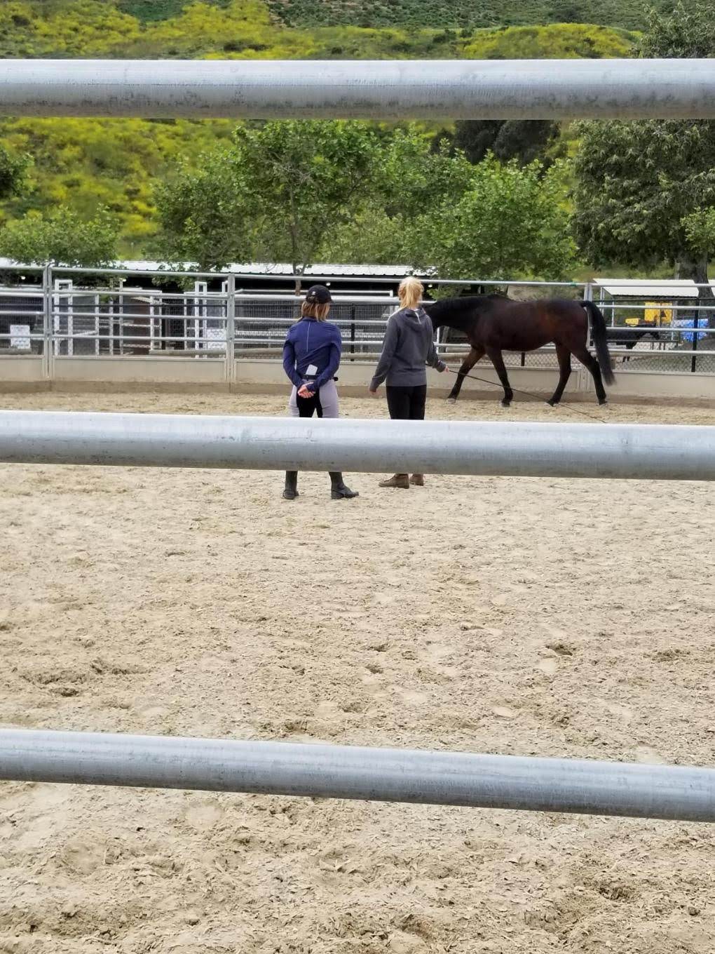 J F Shea Therapeutic Riding | 26284 Oso Rd, San Juan Capistrano, CA 92675, USA | Phone: (949) 240-8441