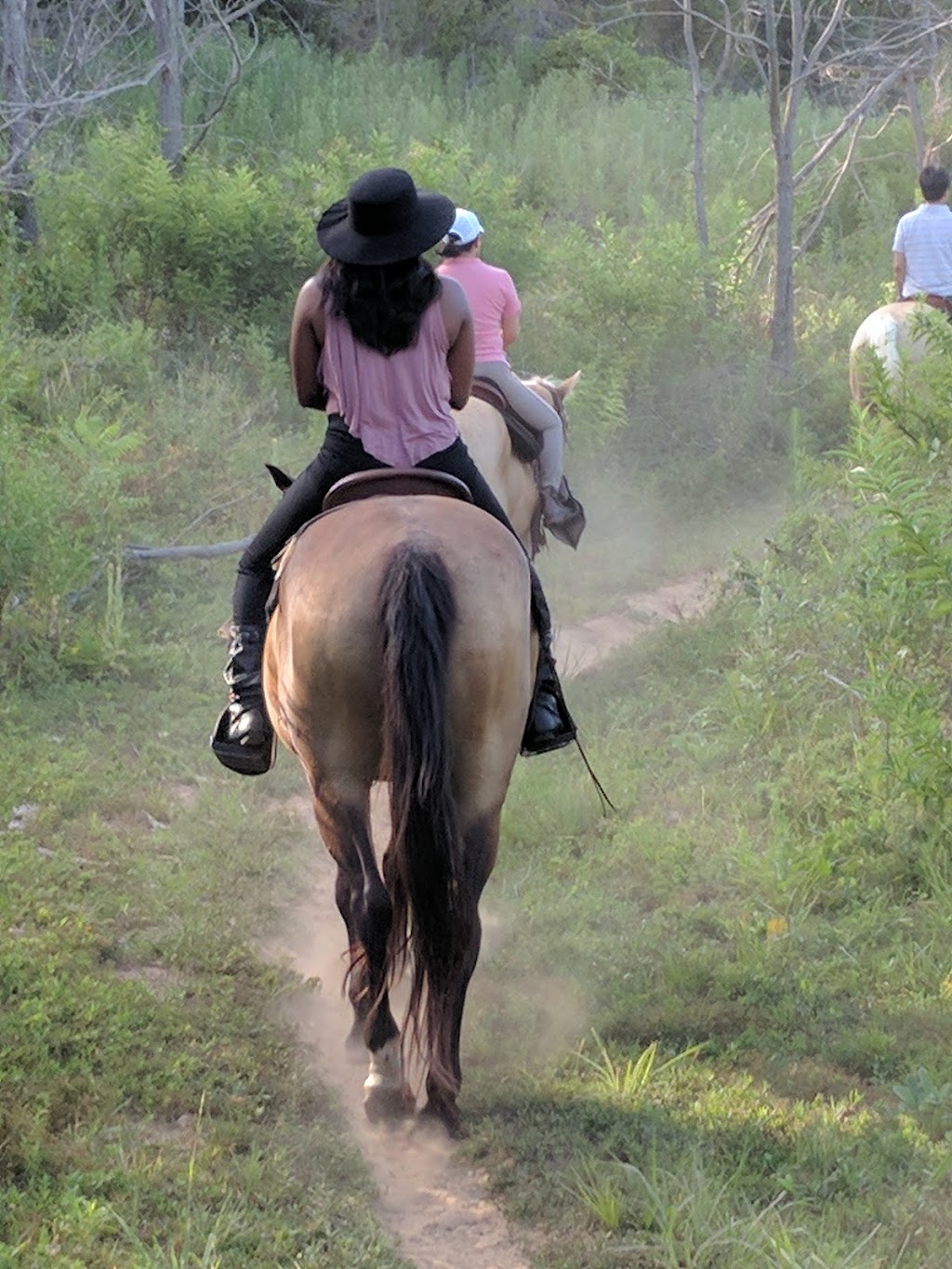 Widowmaker Trail Rides | 904 Quail Creek Ct, Southlake, TX 76092, USA | Phone: (817) 528-8069