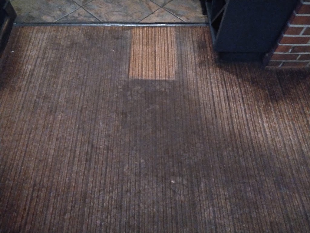 Pet Mess Express | 120 Washington St, Carlisle, KY 40311, USA | Phone: (808) 372-2685