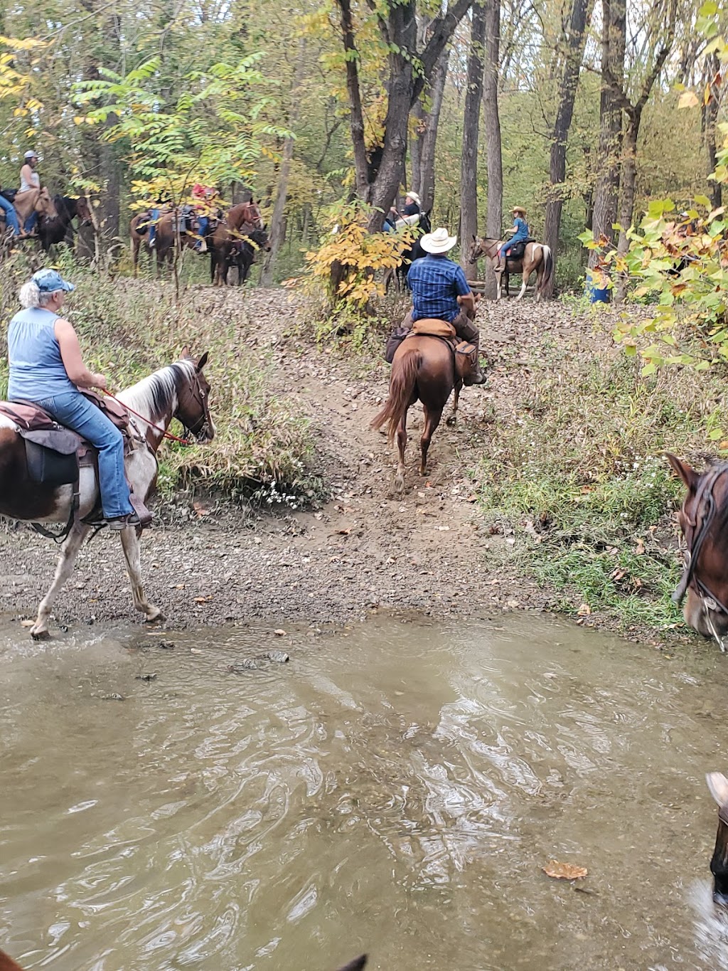 Blake Lowry Campground | 13299-13211 Park Rd, Litchfield, IL 62056, USA | Phone: (217) 324-4771