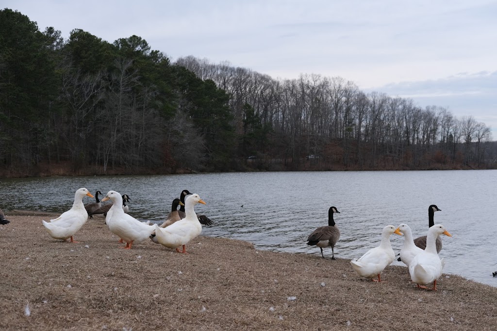 Sweetwater Creek State Park Bait Shop | 1750 Mt Vernon Rd, Lithia Springs, GA 30122, USA | Phone: (770) 732-5877