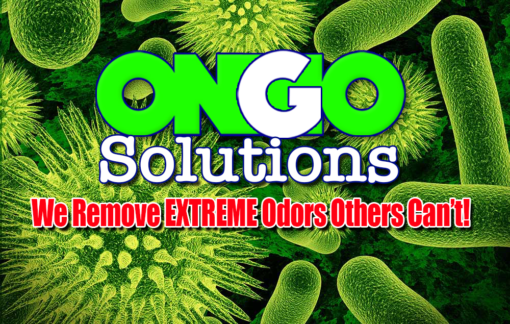 ONGO Solutions | 7605 Mapleleaf Dr, North Richland Hills, TX 76182, USA | Phone: (817) 440-6175