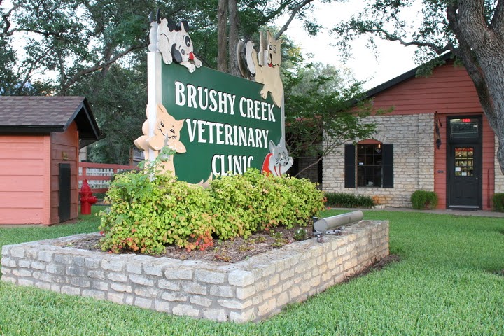 Brushy Creek Veterinary Clinic | 15405 N FM 620, Austin, TX 78717, USA | Phone: (512) 255-9725
