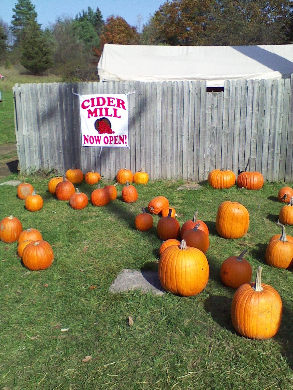 Goodison Cider Mill | 4295 Orion Rd, Rochester, MI 48306, USA | Phone: (248) 652-8450