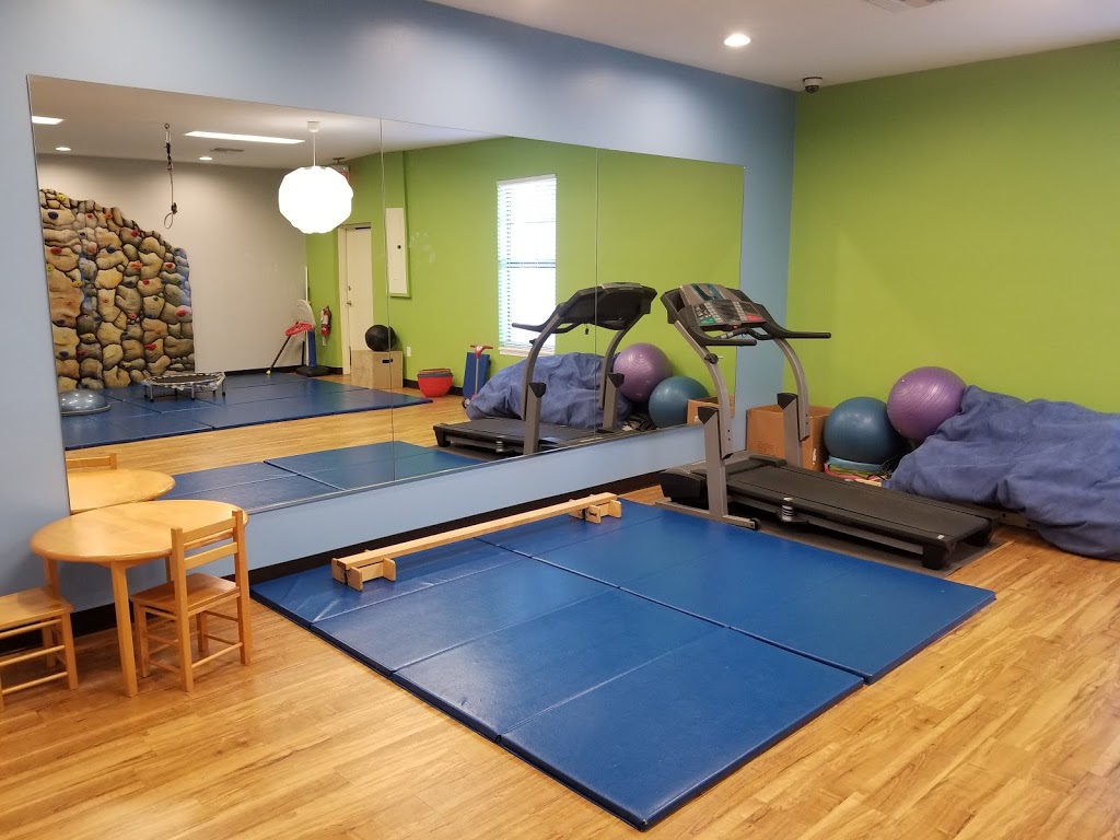 Interplay Therapy Center | 1816 Health Care Dr, Trinity, FL 34655, USA | Phone: (727) 326-7791