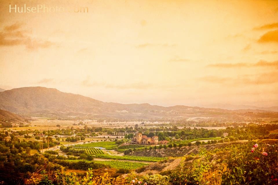 Robert Renzoni Winery | 37350 De Portola Rd, Temecula, CA 92592, USA | Phone: (951) 302-8466