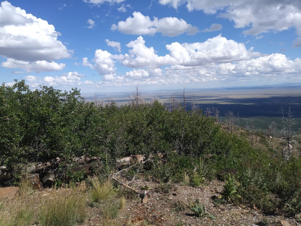 Capilla Peak Campground | Torreon, NM 87061, USA | Phone: (505) 281-3304