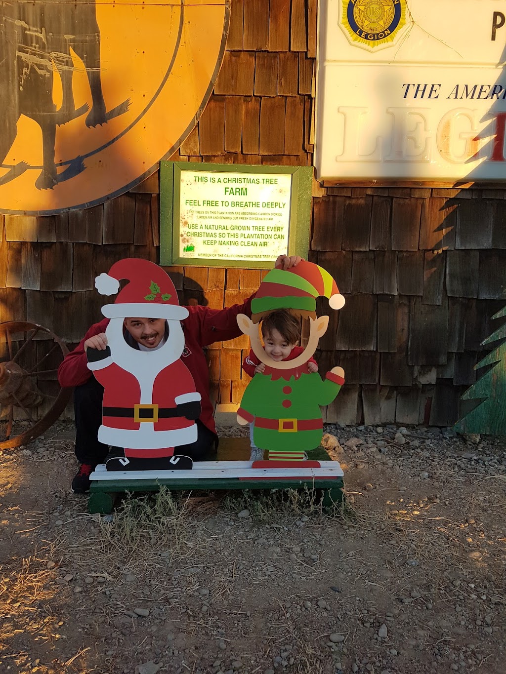 Pine Country The Martin Family | Gustine, CA 95322, USA | Phone: (209) 854-3636