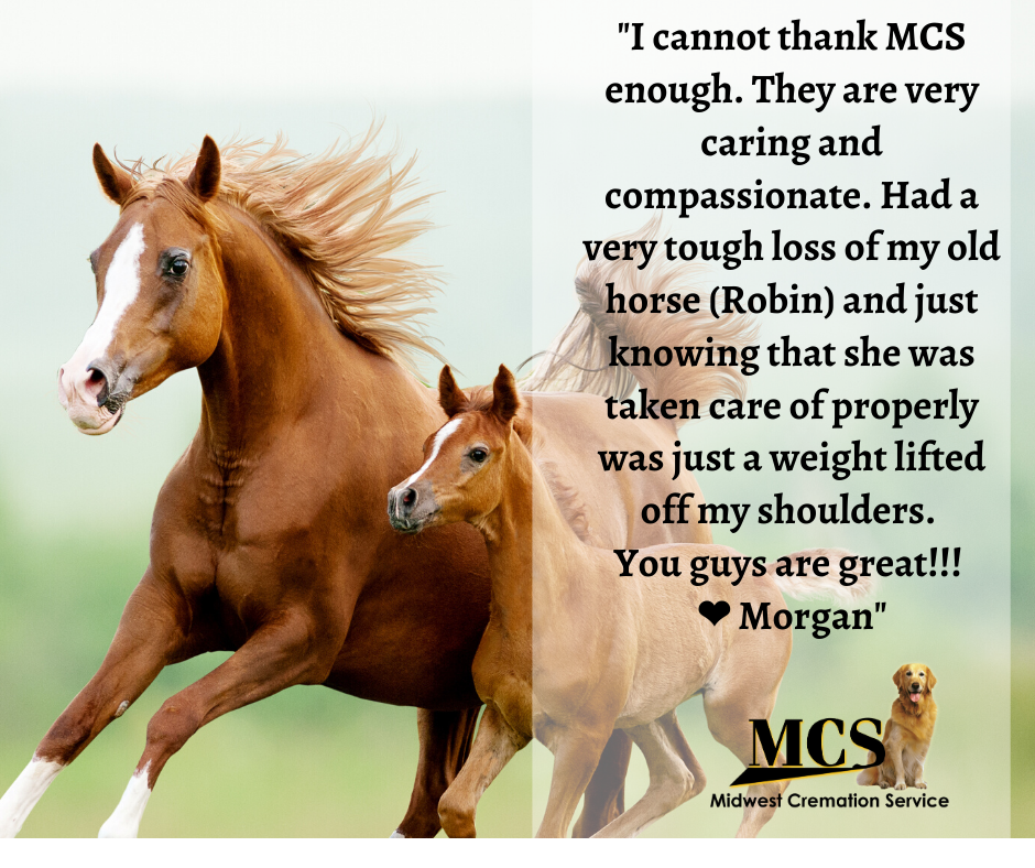 Midwest Cremation Service of WI, Inc. | W9242 County Rd CS, Poynette, WI 53955, USA | Phone: (608) 635-7270