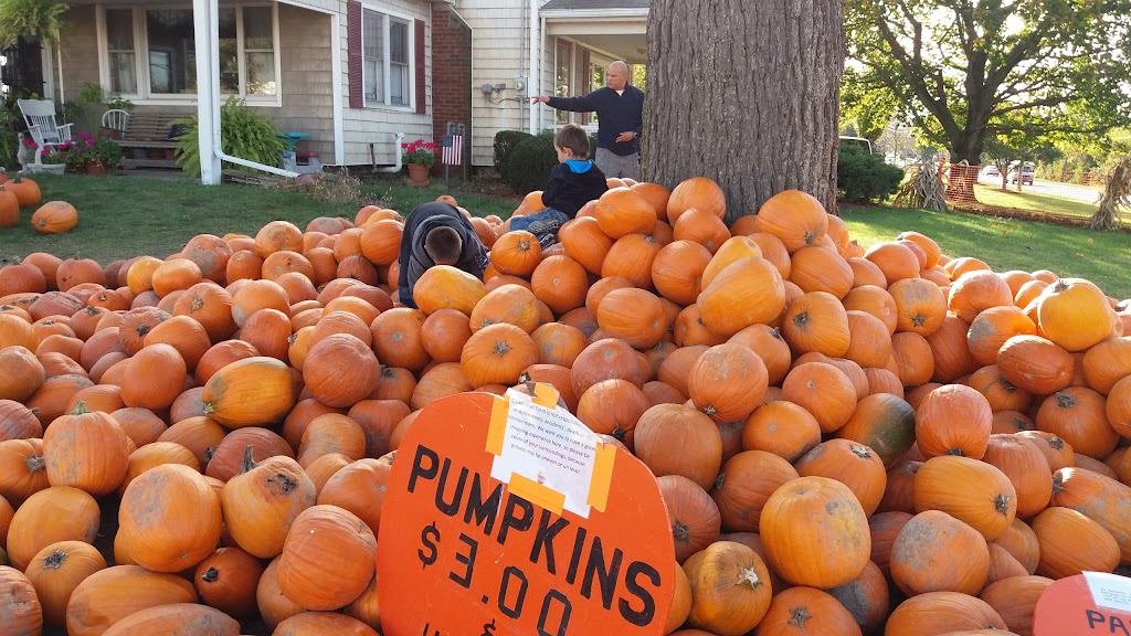 Grobe Fruit Farm Ltd | 43875 Telegraph Rd, Elyria, OH 44035, USA | Phone: (440) 322-8312