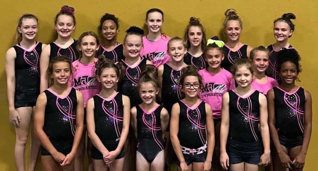 Mt. Juliet Elite Gymnastics | 490 Industrial Dr, Mt. Juliet, TN 37122, USA | Phone: (615) 756-5577