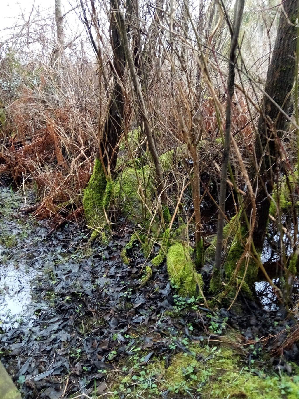 El Huarache Taco Shop | 764 N Midway Dr, Escondido, CA 92027, USA | Phone: (760) 738-4733