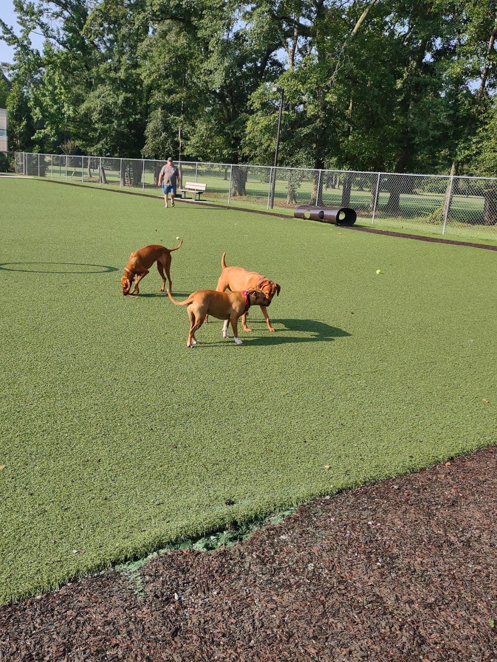 Beneful Dream Dog Park | 7305 Hwy 119, Alabaster, AL 35007, USA | Phone: (205) 664-6840