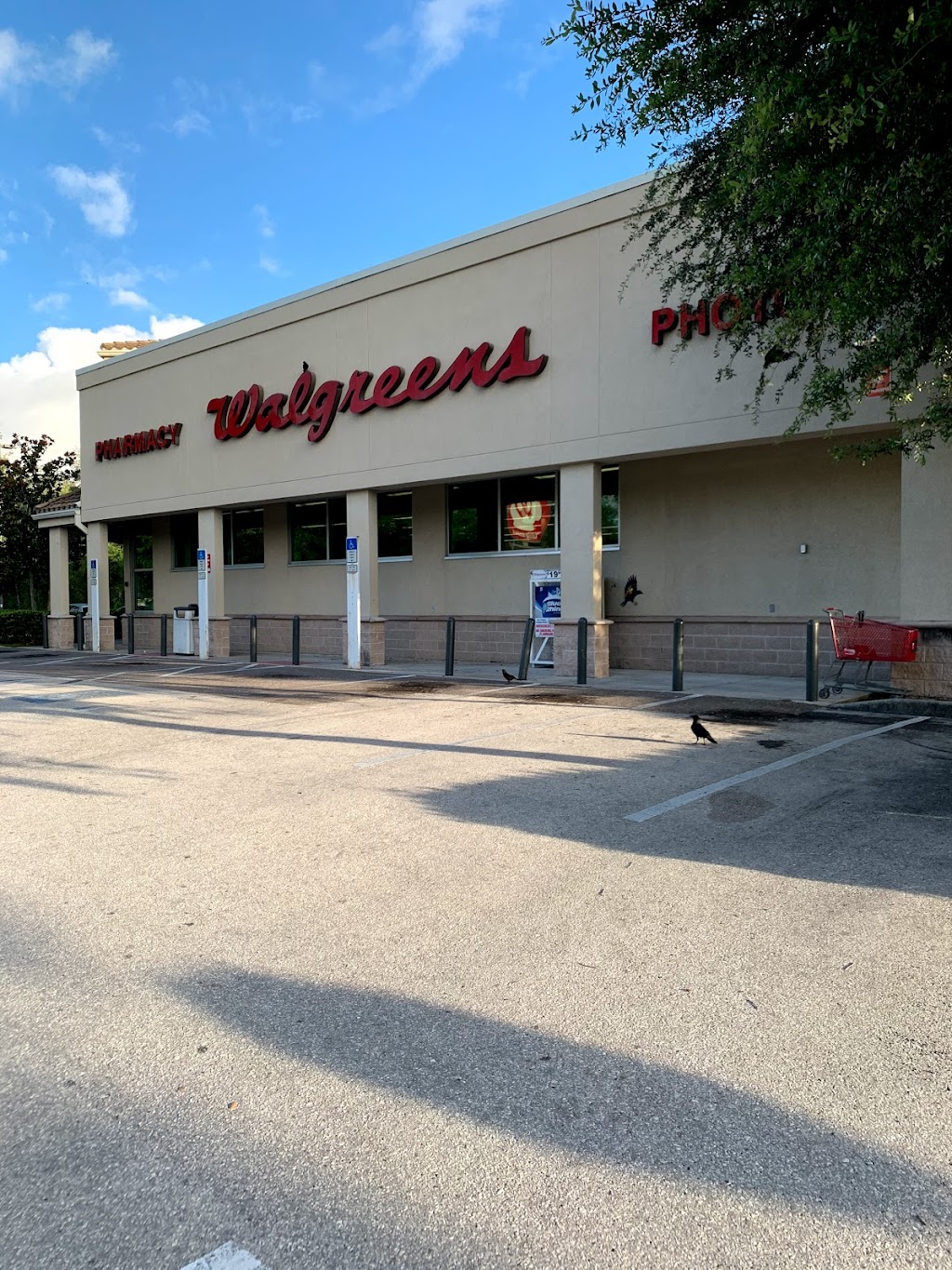 Walgreens | 7305 Spring Hill Dr, Spring Hill, FL 34606, USA | Phone: (352) 688-5242