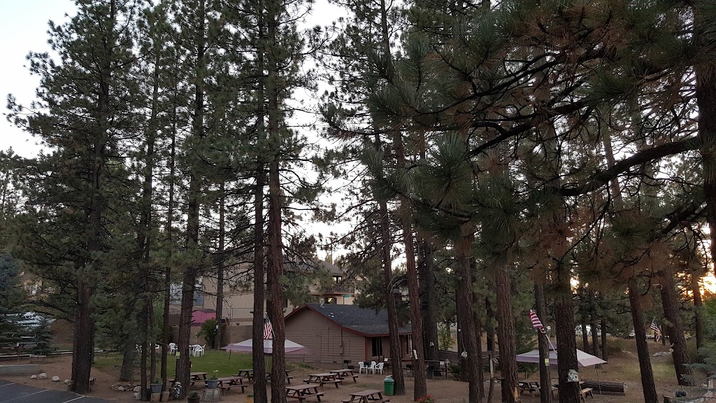 Honey Bear Lodge | 40994 Pennsylvania Ave, Big Bear Lake, CA 92315 | Phone: (909) 866-7825