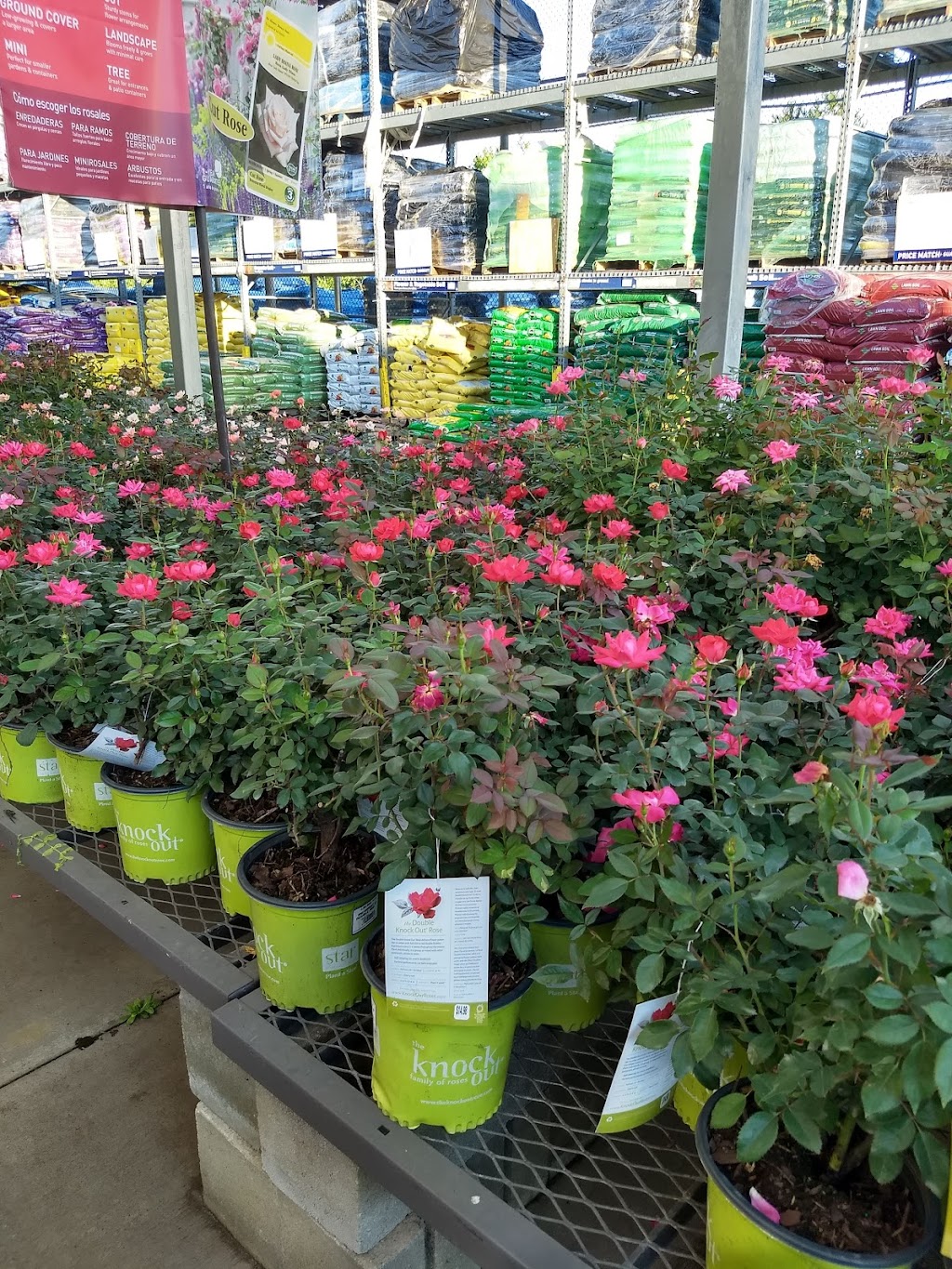 Lowes Garden Center | 2040 Durham Rd, Roxboro, NC 27573, USA | Phone: (336) 330-2100