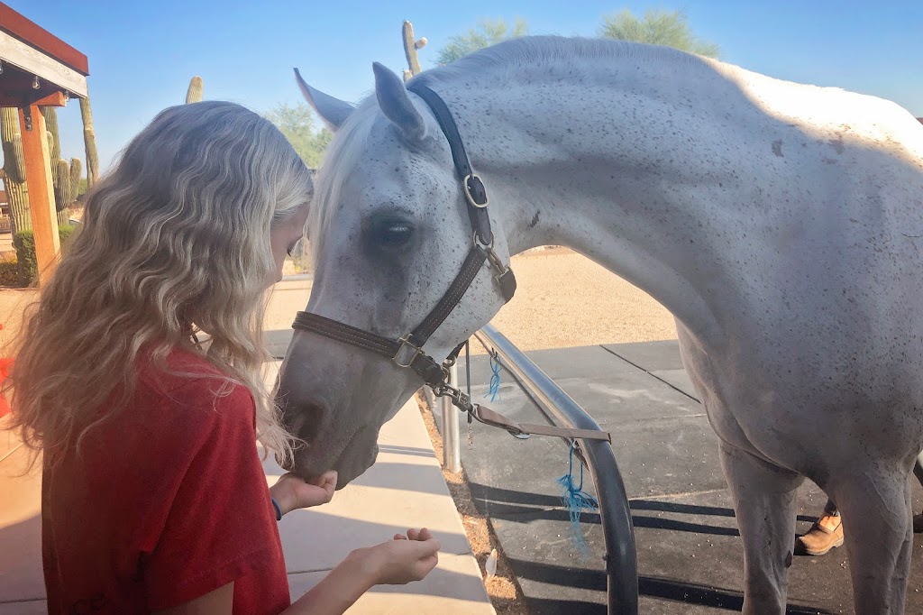 Alma Linda Ranch | 28437 N 58th St, Cave Creek, AZ 85331, USA | Phone: (480) 567-9763