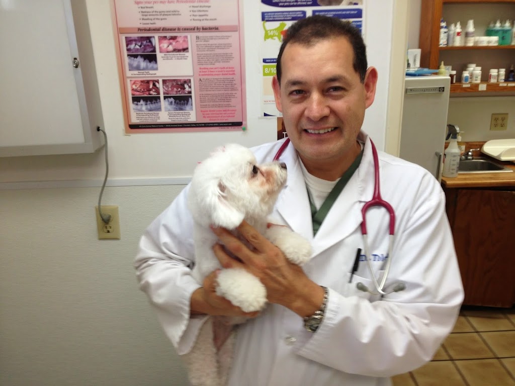 Affordable Animal Hospital | 310 N State College Blvd, Anaheim, CA 92806, USA | Phone: (714) 772-1611