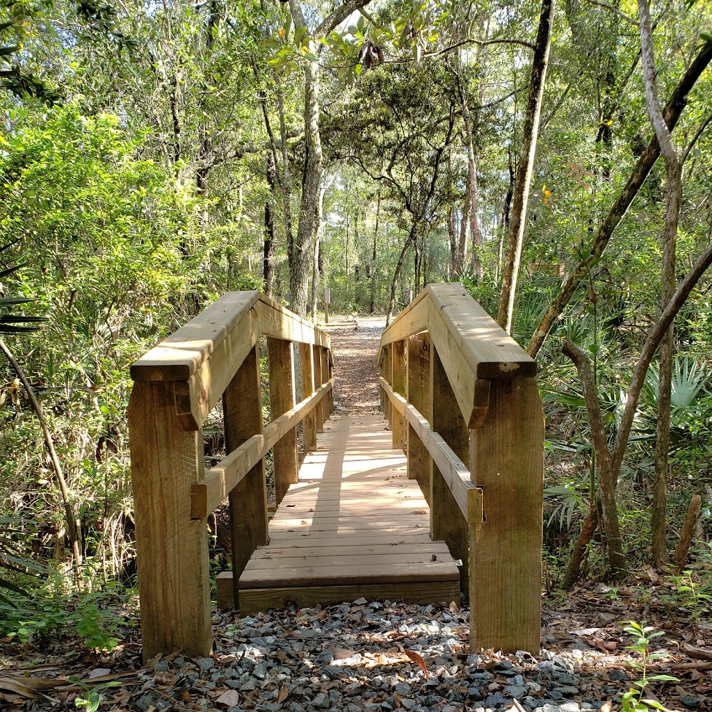 Jennings State Forest | 1337 Long Horn Rd, Middleburg, FL 32068, USA | Phone: (904) 291-5530