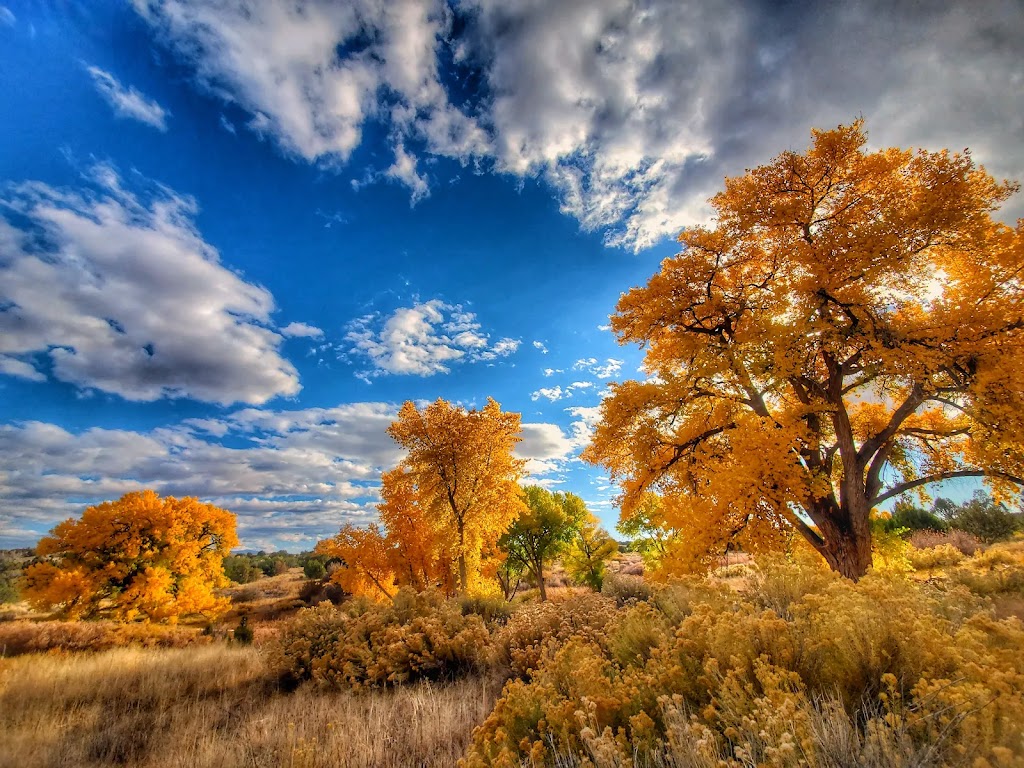 Leonora Curtin Wetland Preserve | 49A W Frontage Rd, Santa Fe, NM 87507, USA | Phone: (505) 471-2261