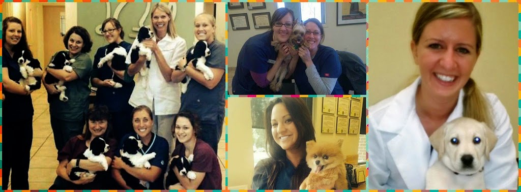 The West Suburban Animal Hospital | 3265 King Rd, Toledo, OH 43617, USA | Phone: (419) 841-4745