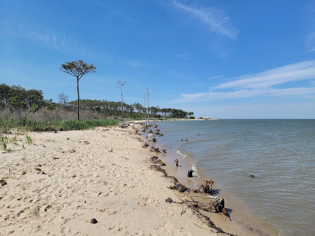 Bethel Beach Natural Area Preserve | State Rte 609, Onemo, VA 23130, USA | Phone: (804) 786-7951