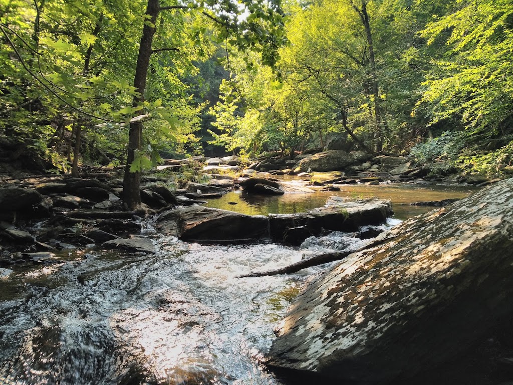 High Falls Conservation Area | 540 Roxbury Rd, Hudson, NY 12534, USA | Phone: (518) 392-5252