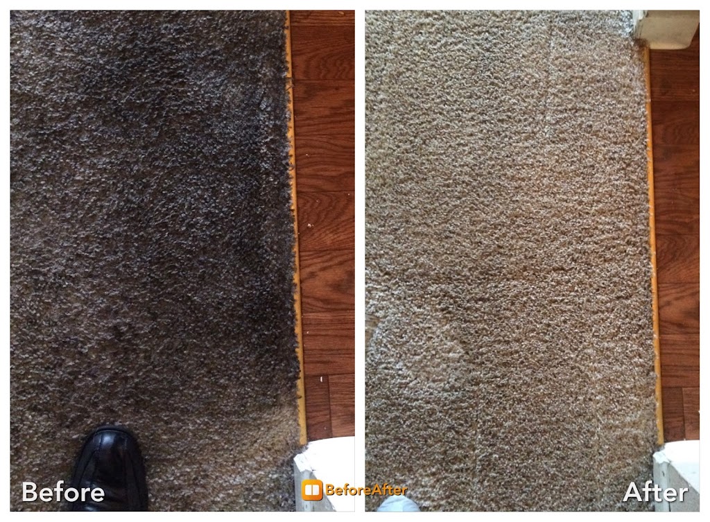 A Step Above Carpet Cleaning | 7405 Greenback Ln #220, Citrus Heights, CA 95610, USA | Phone: (916) 735-3182