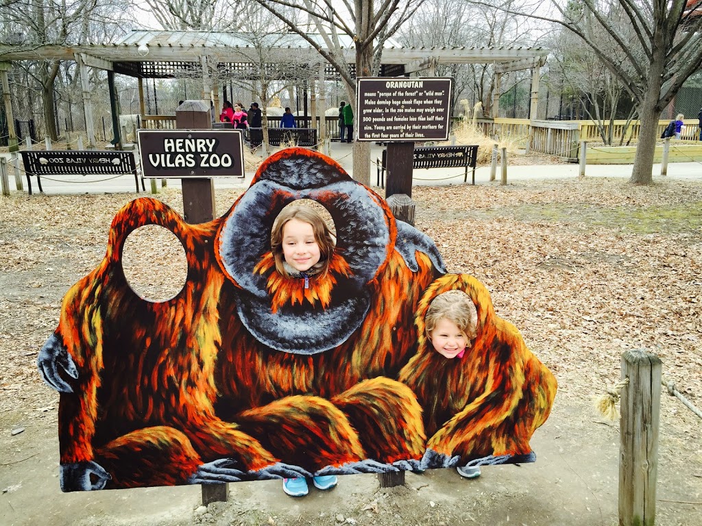 Henry Vilas Zoo | 702 S Randall Ave, Madison, WI 53715, USA | Phone: (608) 266-4732