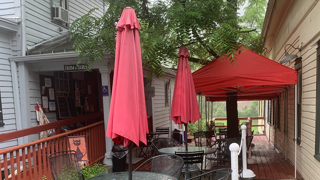 Black Cat | 195 Main St, Sharon Springs, NY 13459, USA | Phone: (518) 284-2575