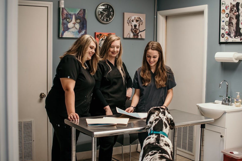 Waco Animal Hospital | 191 Waco Loop Rd, Waco, KY 40385, USA | Phone: (859) 369-5678